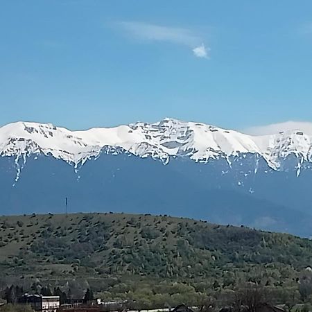 Zărneşti Le Nid D'Adam 아파트 외부 사진