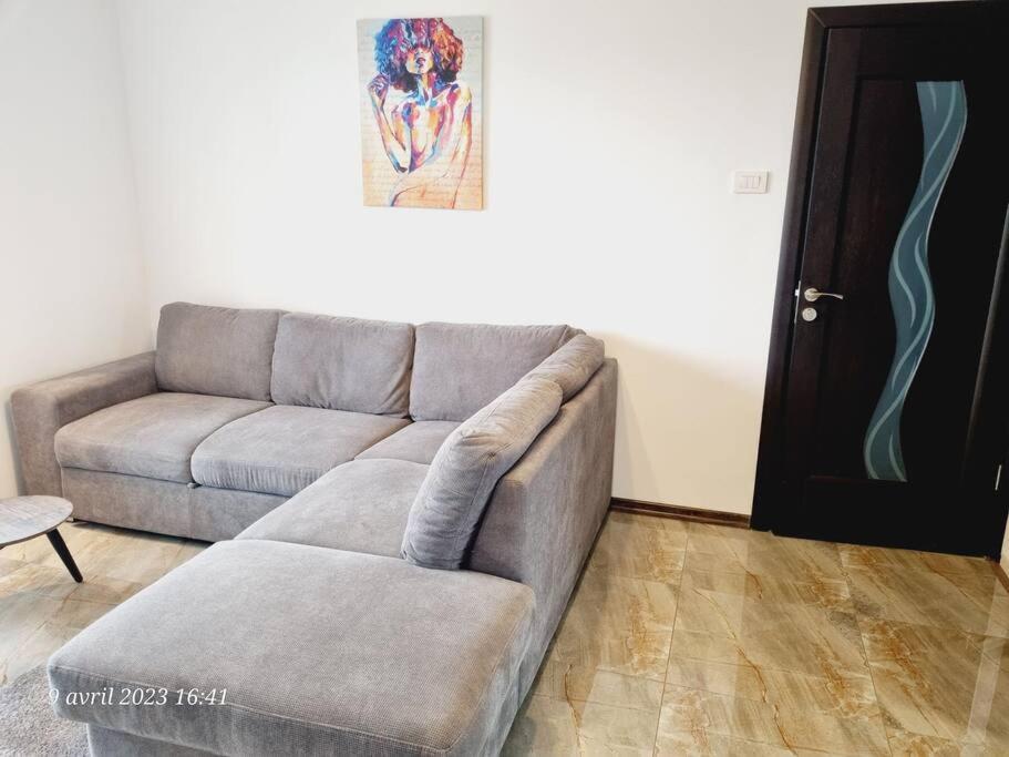 Zărneşti Le Nid D'Adam 아파트 외부 사진
