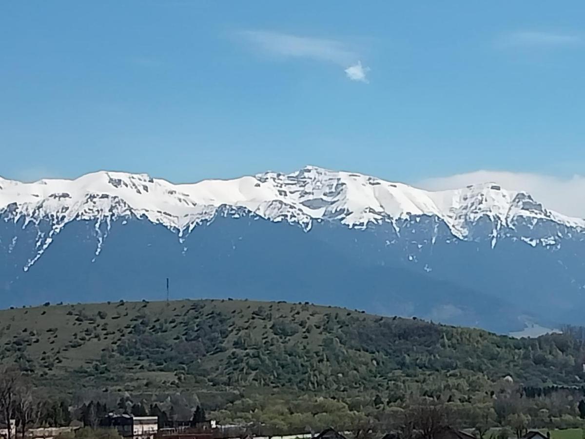 Zărneşti Le Nid D'Adam 아파트 외부 사진